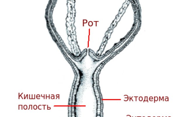 Kraken что это за сайт