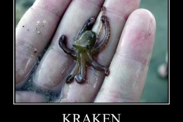 Кракен клирнет